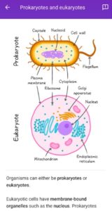 Visual Study guide of BioScience